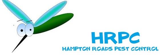 Hampton Roads Pest Control